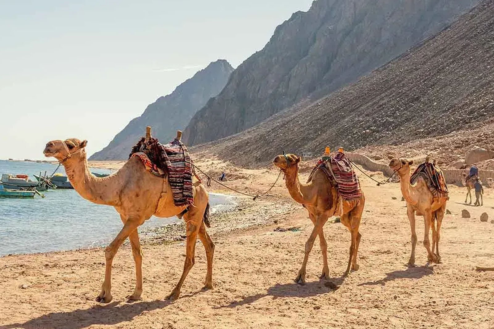 Dahab