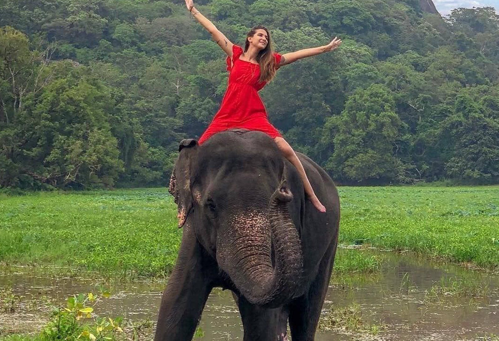 Sri Lanka Arrival