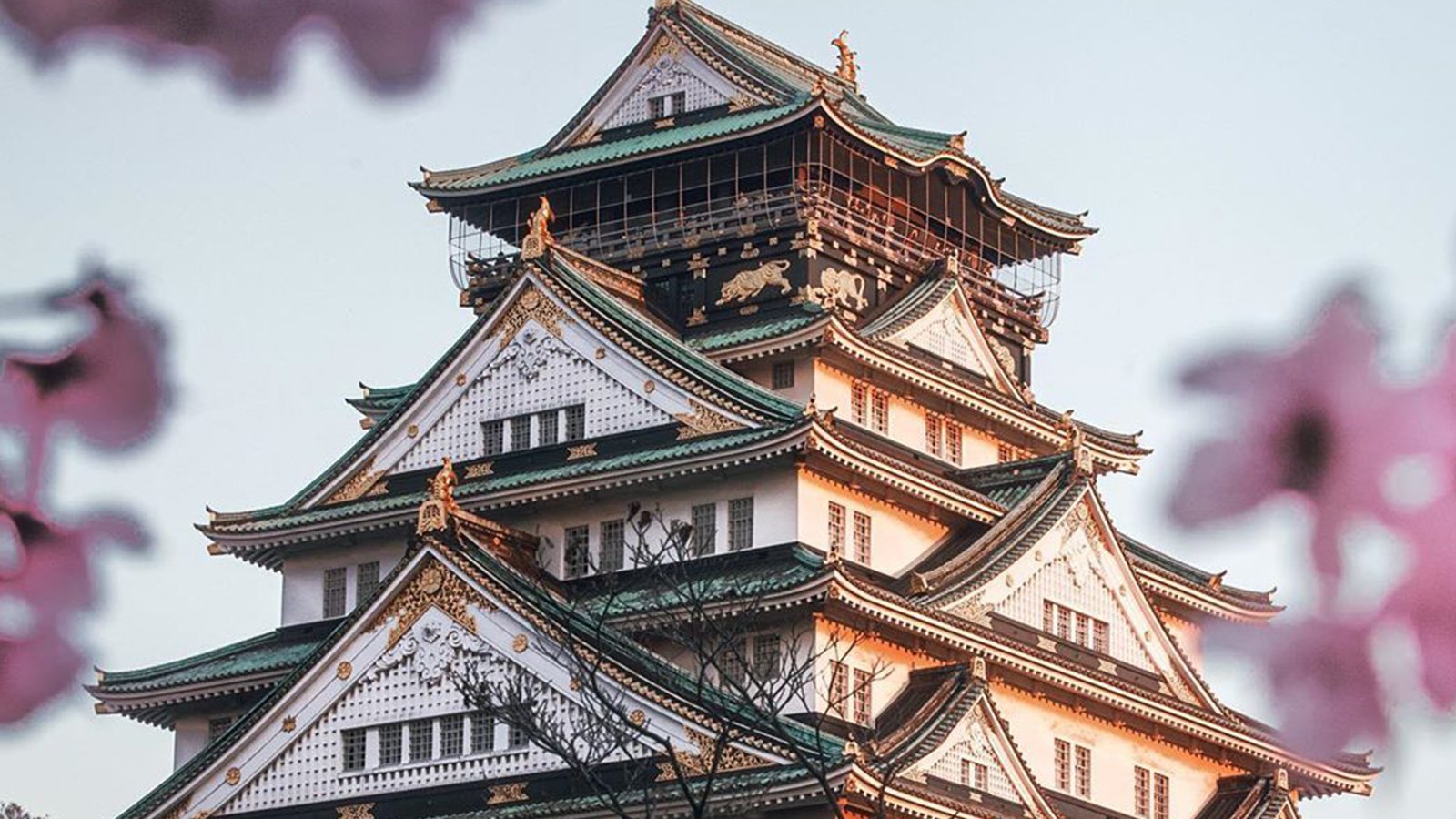 Japan Tour Package