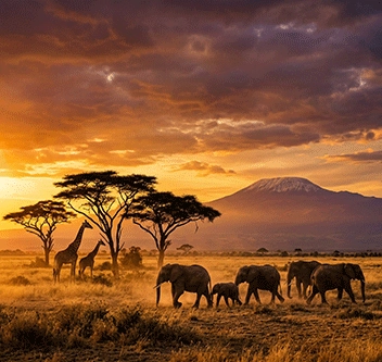 Africa